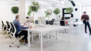 Digital Nomad